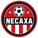 Skin Necaxa