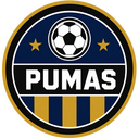 Skin Pumas UNAM